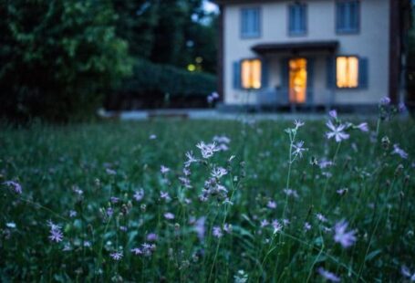 Luxury Home Decor - field of purple flower beside house