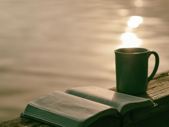 Cozy Reading Nook - green ceramic mug beside book