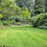 Backyard - green grass field with trees