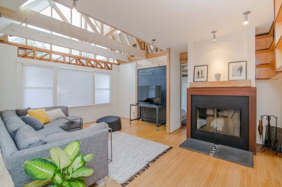 Diy Home Decor - living room set with green dumb cane plant