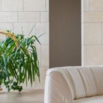 Luxury Properties - Contemporary interior of living room with soft sofa and timber round shaped table near verdant plants