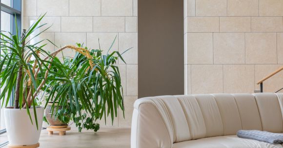 Luxury Properties - Contemporary interior of living room with soft sofa and timber round shaped table near verdant plants