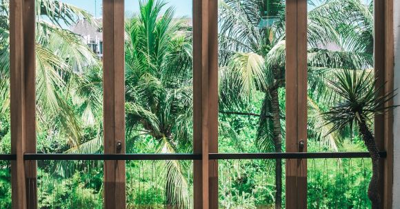 Luxury Properties - Wooden chair placed in spacious villa near panoramic windows overlooking lush green tropical garden against cloudless blue sky