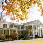 Property - White House Near Tree