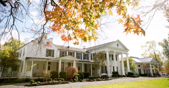 Property - White House Near Tree