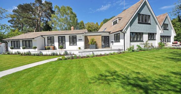 Real Estate - White Wooden 2-storey House Near Tree