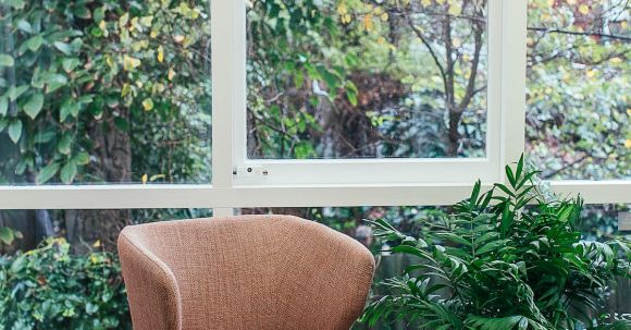 Interior Design - Potted plants in room near window and armchair