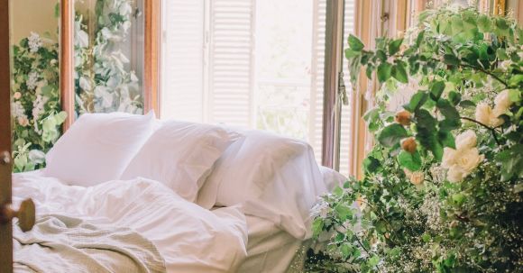 Interior Design - Photo of Bedroom With Flowering Plants