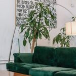 Interior Design - Living room interior with furniture and plants at home