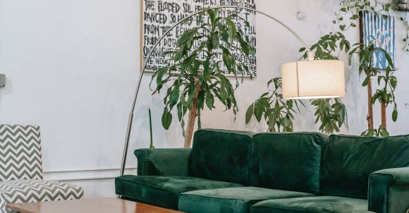 Interior Design - Living room interior with furniture and plants at home