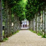 Property - Pathway Between Trees Towards House