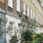 Property - Green Potted Plants Near Building