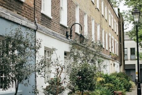 Property - Green Potted Plants Near Building