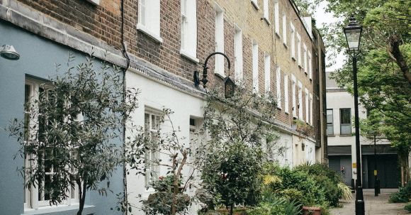 Property - Green Potted Plants Near Building
