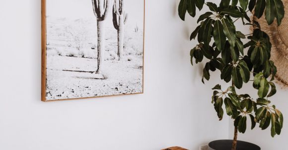 Interior Design - Interior of modern apartment with potted plant and painting