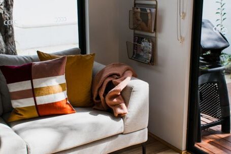 Interior Design - Modern comfortable living room with soft sofa and pillows near table with green potted plant in daytime