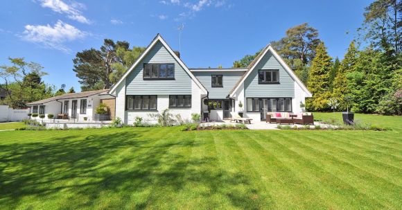 Real Estate - White and Gray Wooden House Near Grass Field and Trees