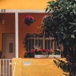Property - Yellow Concrete House