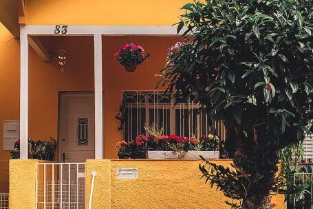 Property - Yellow Concrete House