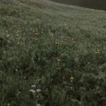 Neighborhood - Peaceful hilly valley with small rural cottage