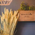 Interior Design - Brown Wooden Vase Near the Window