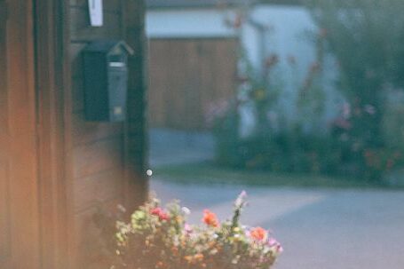 Neighborhood - Facade of building with potted flowers growing near door in settlement in summer sunny day