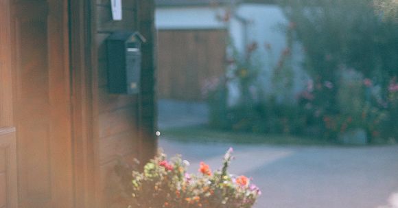 Neighborhood - Facade of building with potted flowers growing near door in settlement in summer sunny day