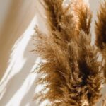 Eco-friendly Home - High angle of wicker vase with dried brown plants on floor in room