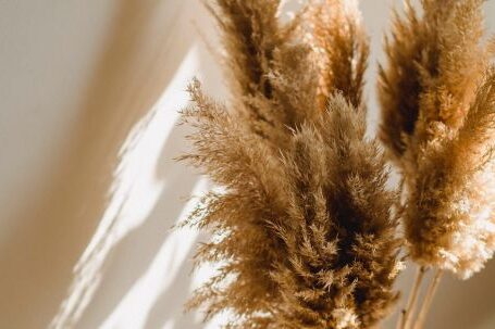 Eco-friendly Home - High angle of wicker vase with dried brown plants on floor in room