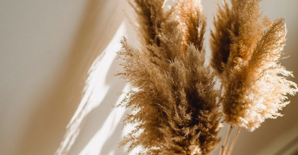 Eco-friendly Home - High angle of wicker vase with dried brown plants on floor in room