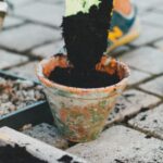 Gardening - Person in Blue Denim Jeans Holding White Stick