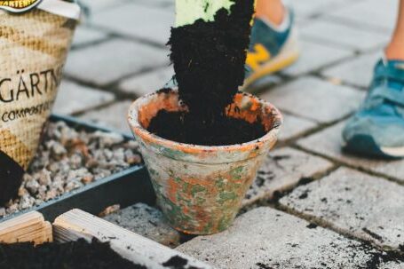 Gardening - Person in Blue Denim Jeans Holding White Stick