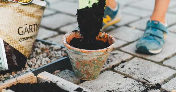 Gardening - Person in Blue Denim Jeans Holding White Stick