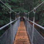 Outdoors - First Perspective Photography of Hanging Bridge