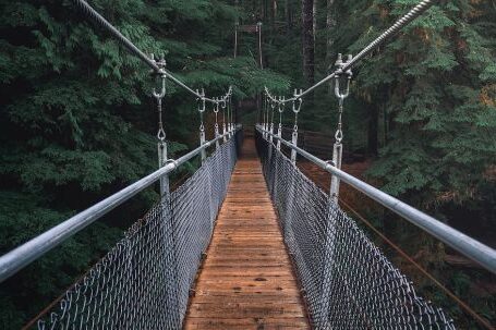 Outdoors - First Perspective Photography of Hanging Bridge