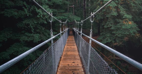 Outdoors - First Perspective Photography of Hanging Bridge
