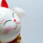 Japanese Design - Japanese Lucky Coin Cat