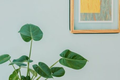 Home - Orbicular Plant on Desk
