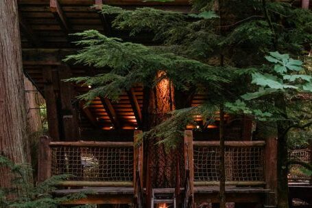 Neighborhood - Small wooden tree house with burning electrical lights and narrow footbridge in lush abundant woodland