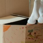 New Home - Brown Cardboard Box on Brown Wooden Table