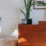 Neighborhood - Retro cabinet with potted plant near comfy bed
