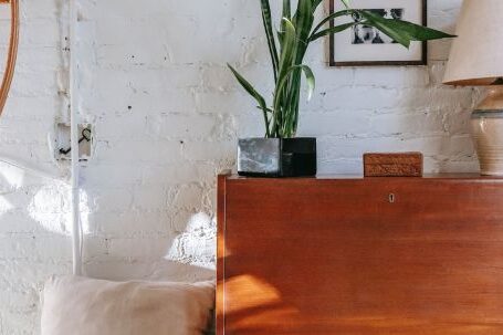 Neighborhood - Retro cabinet with potted plant near comfy bed
