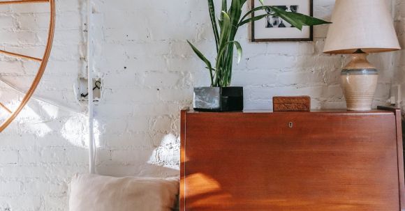 Neighborhood - Retro cabinet with potted plant near comfy bed