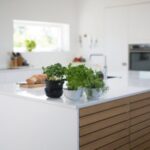 Kitchen - Green Leafed Plants On Kitchen Island