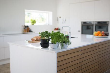 Kitchen - Green Leafed Plants On Kitchen Island