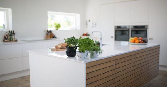 Kitchen - Green Leafed Plants On Kitchen Island