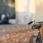 Neighborhood - Bicycle parked on town street covered with fallen autumn leaves