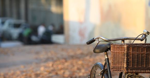 Neighborhood - Bicycle parked on town street covered with fallen autumn leaves