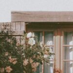 Neighborhood - Exterior of cozy residential house with wooden window and tiled roof near lush blossoming tree on sunny day