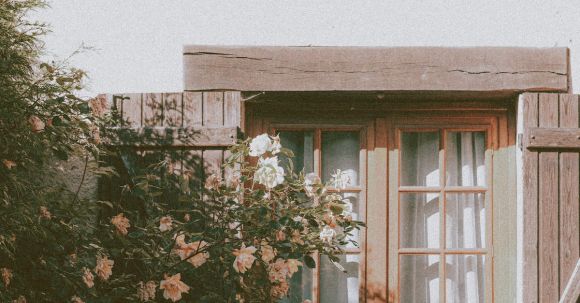 Neighborhood - Exterior of cozy residential house with wooden window and tiled roof near lush blossoming tree on sunny day